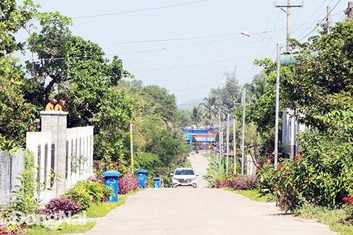 Phát triển đồng bộ giao thông nông thôn