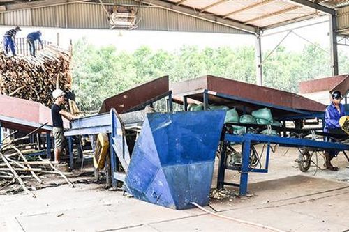 Cần quan tâm vấn đề môi trường và an toàn lao động trong chế biến gỗ rừng trồng