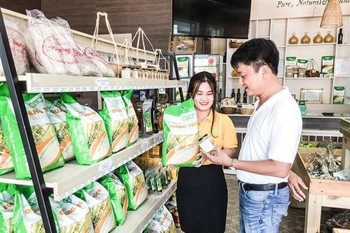 Tạo tiền đề để nâng cao chất lượng gạo Quảng Trị