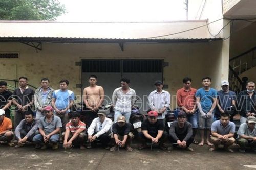 Bắt 22 con bạc đang đá gà trong vườn điều ở Đồng Nai