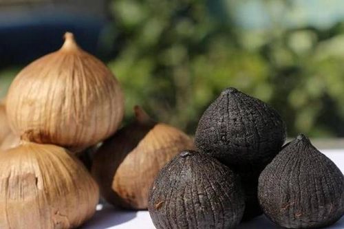 3 Không: Tiêu chuẩn nguyên liệu lên men tỏi đen theo công nghệ Nhật Bản