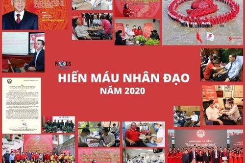 Việt Nam cần xây dựng chương trình máu quốc gia theo chuẩn mực quốc tế