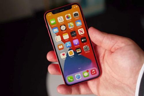 Người dùng không mặn mà với iPhone 12 mini