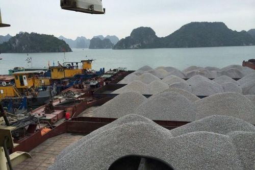 Ách tắc hàng hóa tại cảng Cẩm Phả: Hàng loạt doanh nghiệp cầu cứu Chính phủ