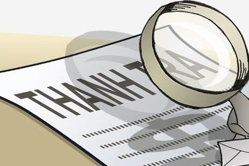 Vĩnh Long: Thanh tra phát hiện vi phạm, sai phạm kinh tế hơn 58 tỷ đồng