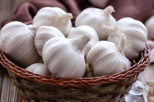 Mẹo bảo quản tỏi cực lâu, để nhiều tháng không hỏng
