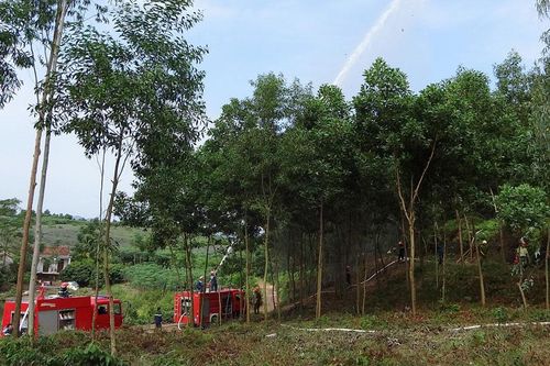 Phòng cháy, chữa cháy rừng: Nhiệm vụ cấp thiết, thường xuyên