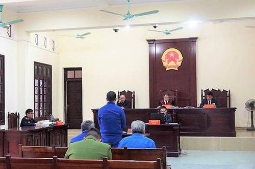Hải Phòng: Phù phép đất nông nghiệp thành đất ở, chủ tịch phường cùng 2 đồng phạm lĩnh án