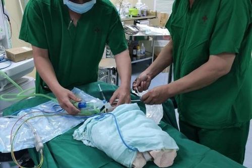 Mổ cấp cứu bé gái sơ sinh có ruột nằm ngoài bụng