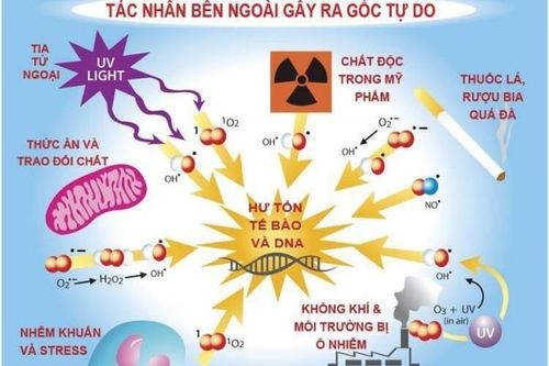 Giải pháp thải độc vi bào từ Nhật Bản trong tái tạo làn da