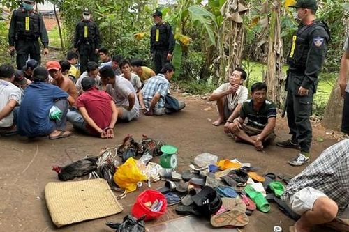 An Giang: Triệt phá trường gà, thu giữ trên 83 triệu đồng