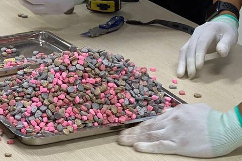 Tội phạm sản xuất ma túy đang dịch chuyển địa bàn