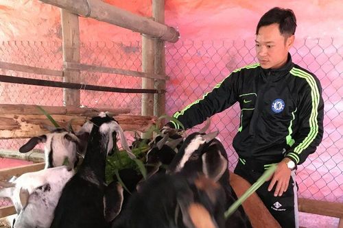 Chủ động chống rét cho vật nuôi