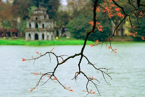 Hà Nội: Chất lượng không khí sáng 8/1 ngập 'sắc xanh'