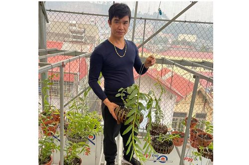 Lan đột biến có giá tiền tỷ, chủ vườn lan Phạm Ngọc Cảnh nói gì?