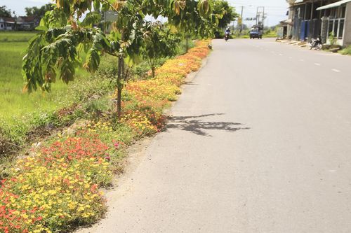 'Giờ bà con vui lắm!'