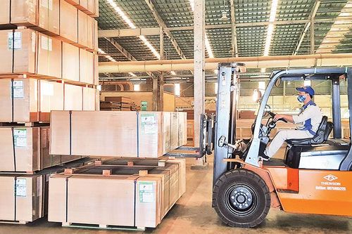 Quảng Trị đẩy mạnh chế biến gỗ xuất khẩu