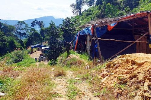 Bị áp bức, phu vàng đâm chết quản lý bãi