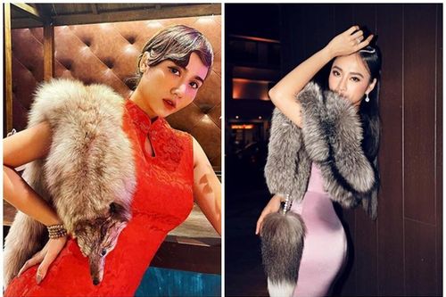 Huyền Lizzie và loạt mỹ nhân Việt gây tranh cãi vì mặc áo lông thú