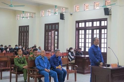 Biến đất nông nghiệp thành đất ở trái quy định, 3 cựu cán bộ quận lĩnh án