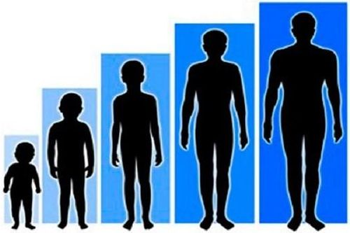 Chiều cao người Việt đứng thứ 4 Đông Nam Á