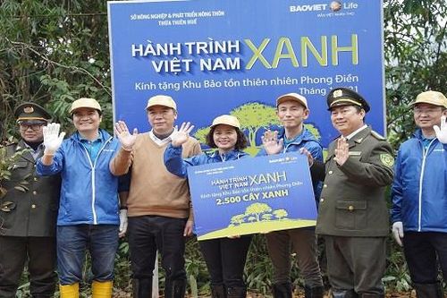 Khởi động 'Hành trình Việt Nam Xanh' trồng 25.000 cây tự nhiên tại TT-Huế
