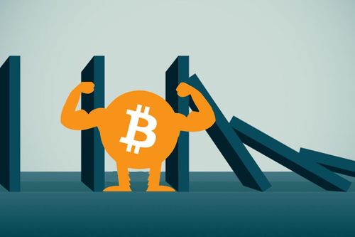 900 triệu/bitcoin: Đỉnh cao khó tin và nguy cơ đổ sụp