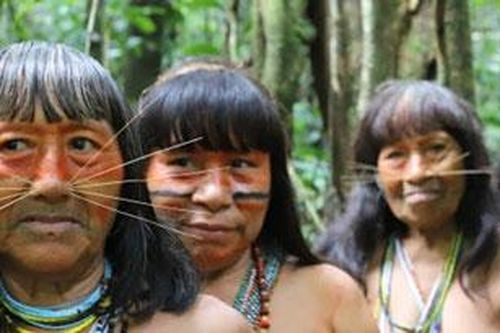 Bên trong bộ lạc từng ăn thịt người thân để 'hút linh hồn' ở Peru