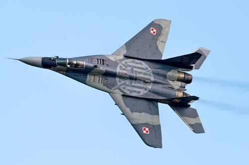 Ba Lan sẽ không từ bỏ MiG-29: Động cơ mới được đặt hàng