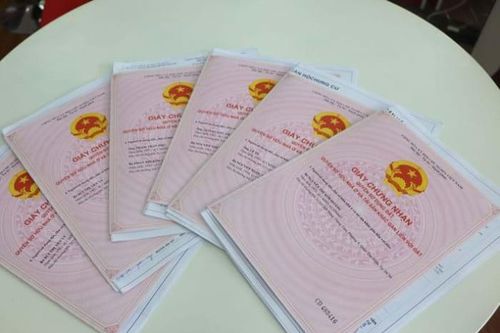 Các trường hợp được cấp sổ hồng mới nhất