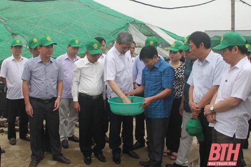 Việc làm cần thiết để xây dựng nông thôn mới không chạy theo thành tích
