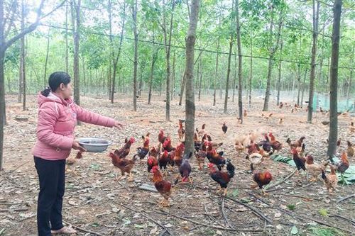 Hơn 1,5 tỉ đồng hỗ trợ nhân rộng các đề tài khoa học