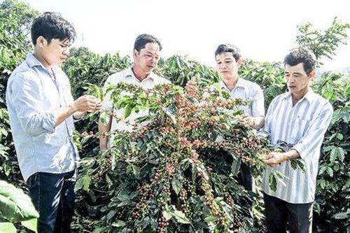 Tập trung nghiên cứu khoa học và phát triển công nghệ