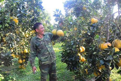 Niềm vui được mùa nông sản Tết