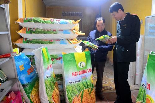 Tập trung thu hoạch vụ đông, chuẩn bị sản xuất vụ xuân