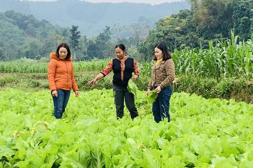 Nông dân Na Hang xây dựng nông thôn mới