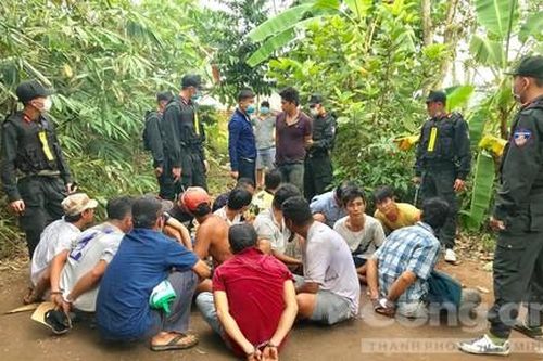 Đột kích trường gà canh giữ nhiều lớp, bắt 25 đối tượng