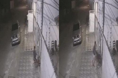 Clip: Tình huống không tin nổi khi chàng trai ngã khỏi xe lăn