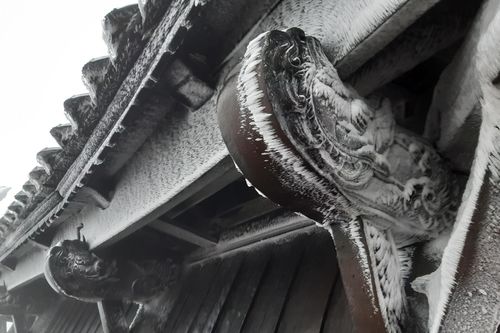Băng giá phủ trắng đỉnh Yên Tử