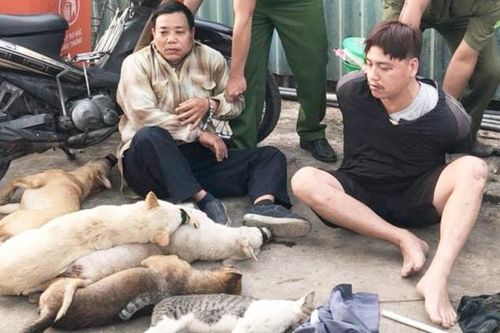 Công an mật phục bắt 2 tên trộm chó