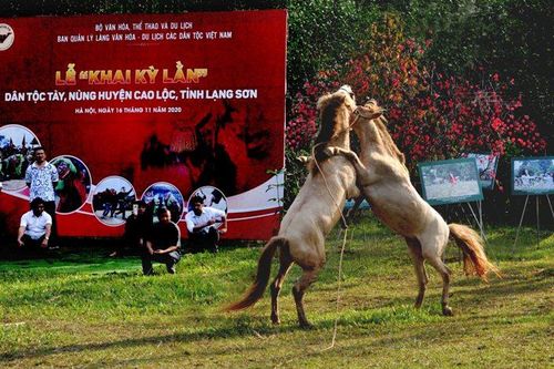 Lễ hội Khai kỳ lằn