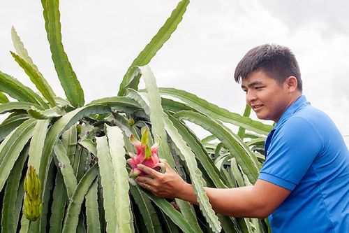 Chọn 'nguồn' cho Đảng từ việc thực hiện Chỉ thị 05
