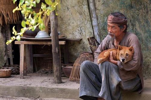 Độc, lạ phim 'Cậu Vàng'