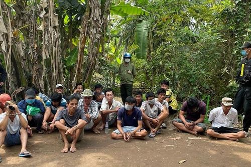 An Giang: Bắt 25 đối tượng tổ chức đá gà ăn tiền