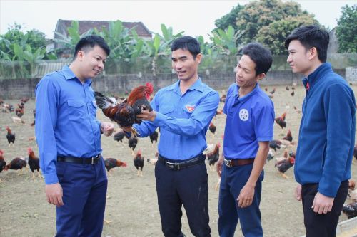 Một cán bộ đoàn phát triển kinh tế trang trại