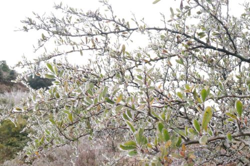 Xuất hiện băng tuyết tại xã biên giới Mèo Vạc - Hà Giang