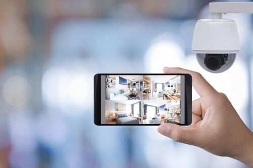 Thị trường 9/1: Lan đột biến 5,5 tỉ đồng, cảnh giác với camera an ninh giá rẻ