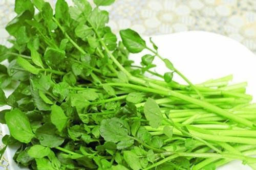 Tác dụng chữa bệnh tuyệt vời của rau cải xoong