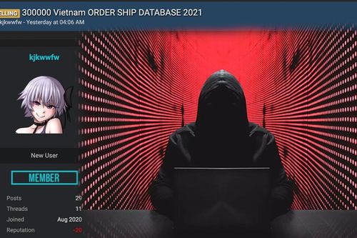 300.000 người dùng Việt Nam bị hacker rao bán thông tin