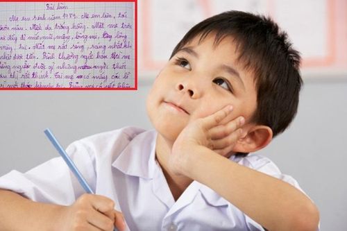 Bài văn bóc phốt mẹ của học sinh Tiểu học khiến cư dân mạng bật cười